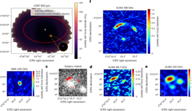 Compact dusty starbursts at cosmic noon linked to high-energy neutrinos