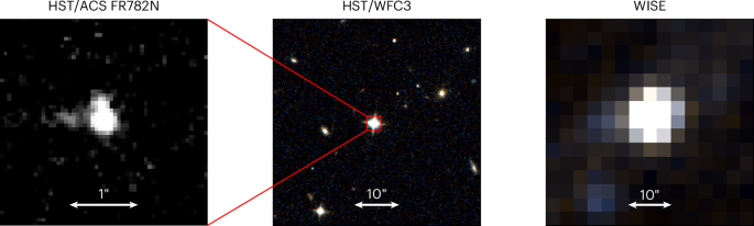 Discovery of quasar variability and early accretion disk signatures at cosmic dawn