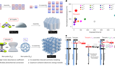 Quantum coherent beating in polar disubphthalocyanine-fullerene cocrystals for ultrafast photothermal conversion