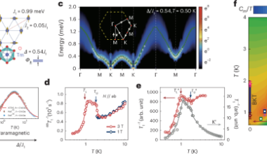 An integrated theoretical and numerical approach to understand modern experiments on quantum magnetism