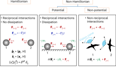 Hamiltonian description of non-reciprocal interactions
