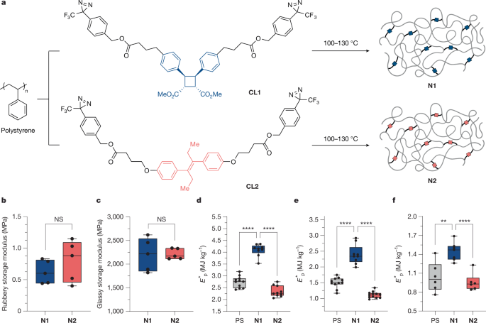 Mechanophore cross-linking enhances ballistic energy dissipation of polymers