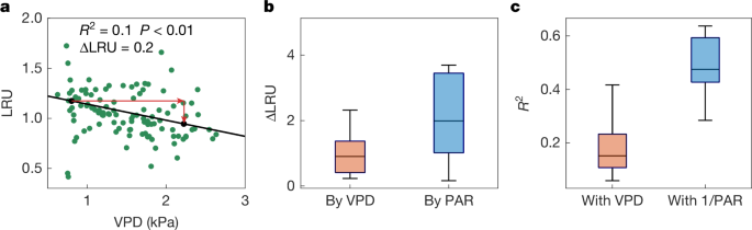 Reply to: The size of tropical vegetation gross primary production