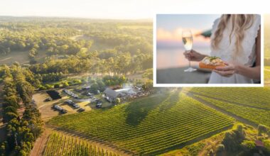 Pair’d festival: Popular Margaret River culinary event announced again for 2026