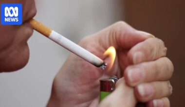 Queensland crackdown cuts illicit tobacco and vape shops, but black market adapts