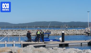 Diver dies after attack by suspected 4.5m shark off Albany