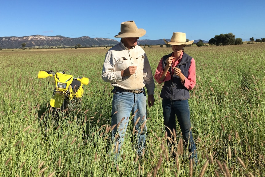 Wide shot of a male and a female farmer standing in a pasture with a motorbike in the background