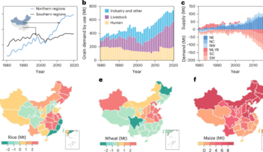 Climate change and interprovincial trade move grain production and environmental burdens northwards in China