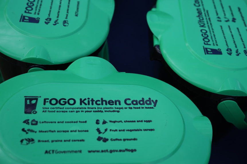 A Food Organics and Garden Organics collection kitchen caddy.