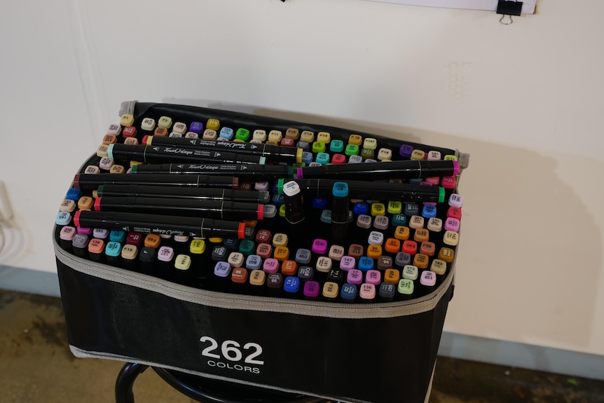 a case holds 262 colourful graphic markers.