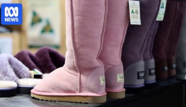 Sheepskin market dramatically rebounds amid tighter supply and Chinese demand