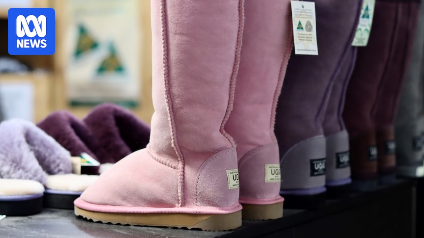 Sheepskin market dramatically rebounds amid tighter supply and Chinese demand