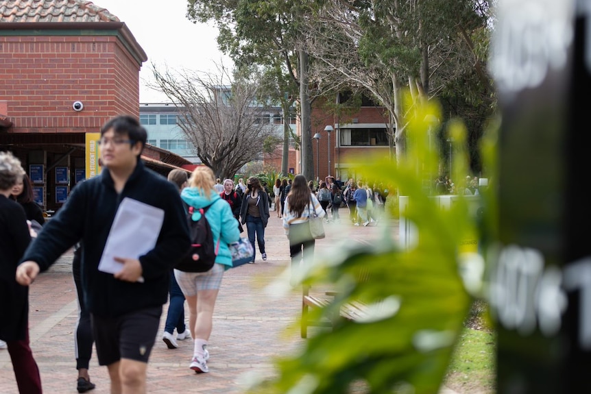 University students on campus