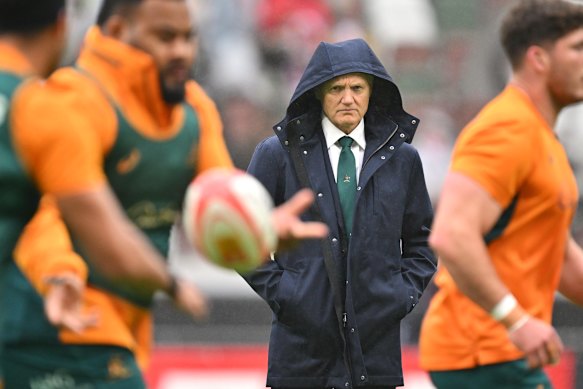 Wallabies coach Joe Schmidt faced some big challenges on the spring tour.