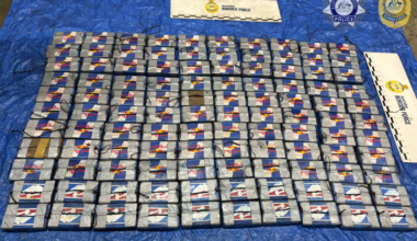 Cocaine worth $36 million seized from frozen berry shipment from Chile