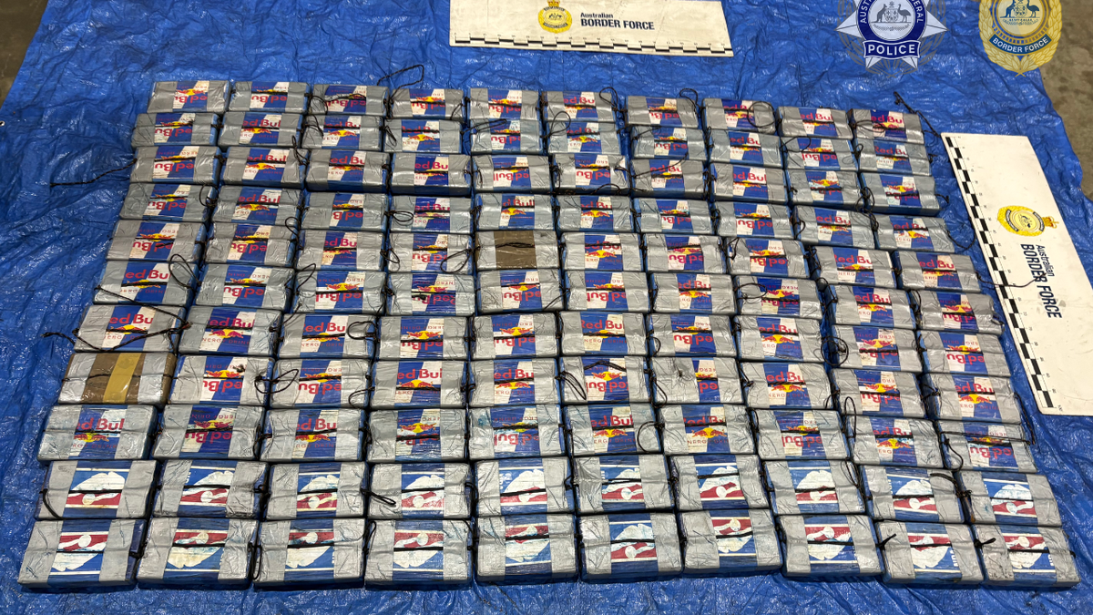 Cocaine worth $36 million seized from frozen berry shipment from Chile