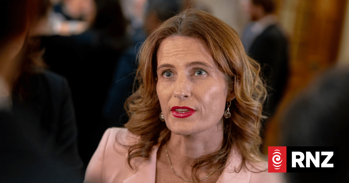 National's Nicola Willis attacks Labour's economic plans