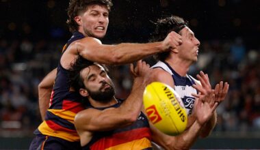Adelaide Crows vs Geelong Cats LIVE: AFL round 13 2026, scores, results, odds, stats and start time from Adelaide Oval
