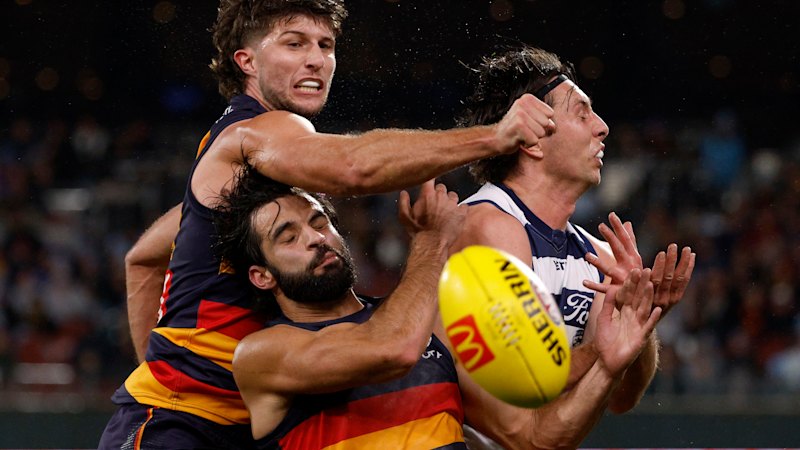 Adelaide Crows vs Geelong Cats LIVE: AFL round 13 2026, scores, results, odds, stats and start time from Adelaide Oval