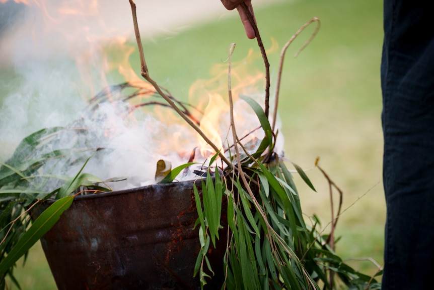 A close up of smoke burning leaves as part of a smoking ceremony