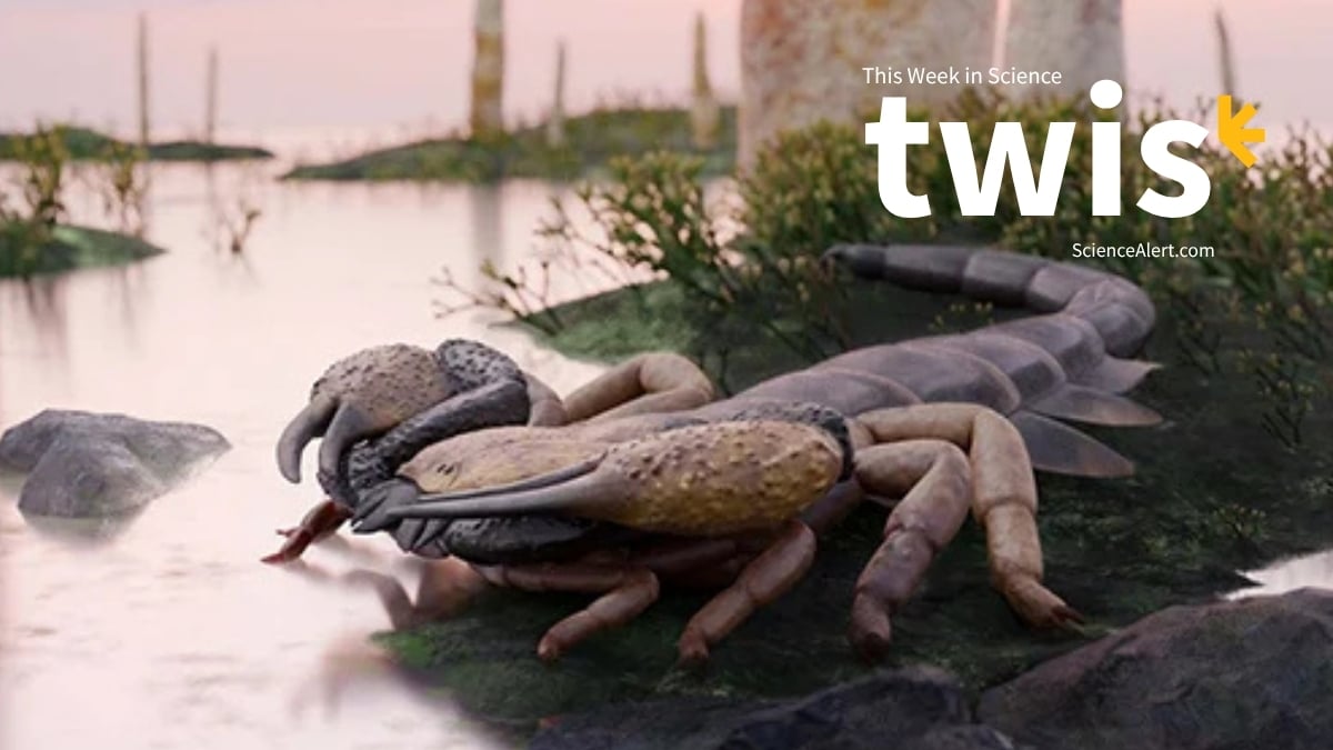 This Week in Science: World's Biggest Scorpion, a Whale Graveyard, And More!