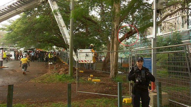 A fire service cherry picker was used to reach the woman high above the ground.