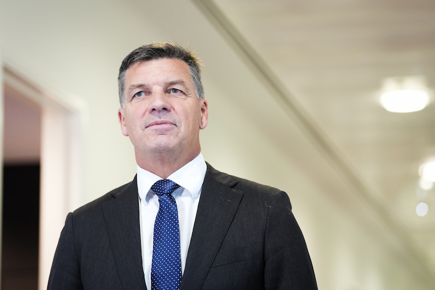Angus Taylor