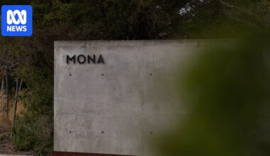 Mona visitor numbers are up, but gambling continues to prop up loss-making Tasmanian gallery
