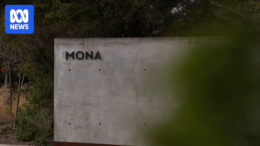 Mona visitor numbers are up, but gambling continues to prop up loss-making Tasmanian gallery