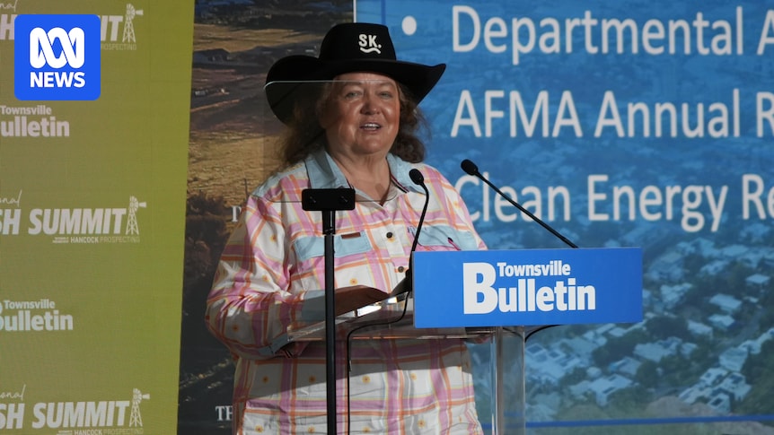 Gina Rinehart says Queensland should give some of its islands to Elon Musk
