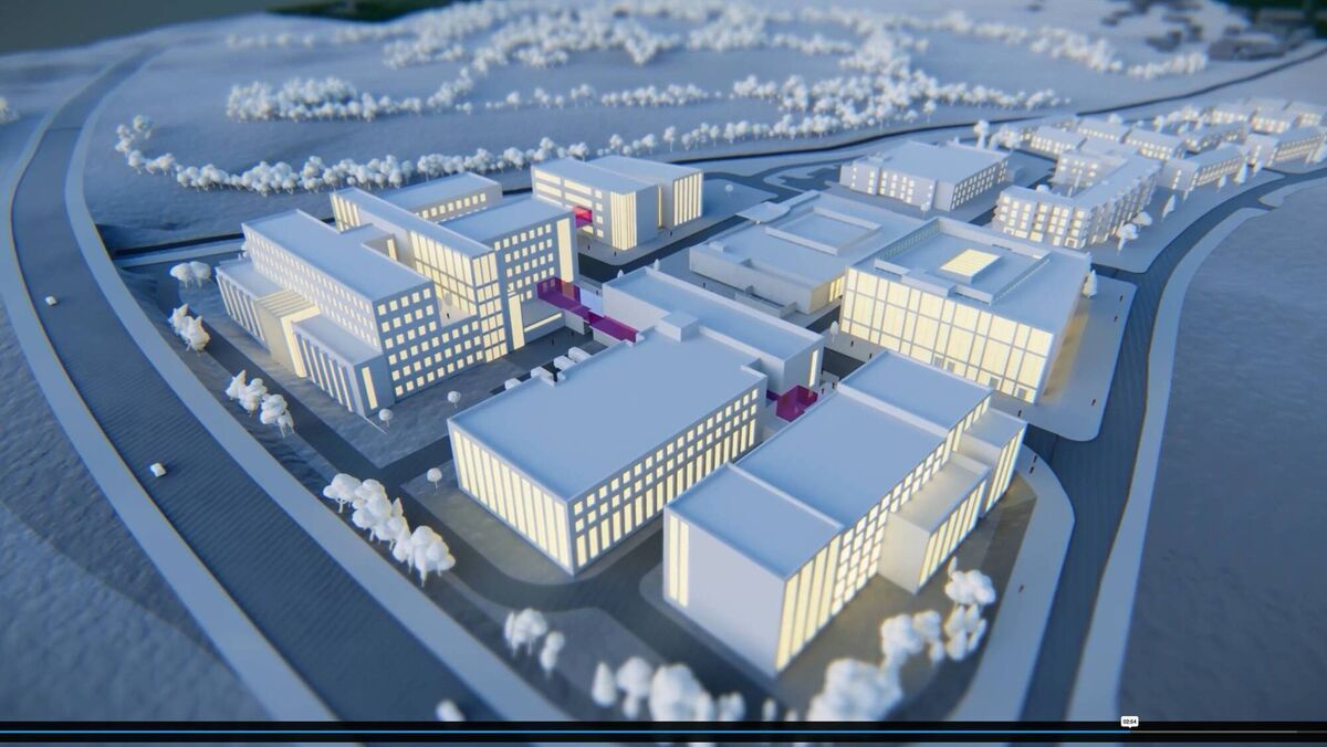 WhiteBox Developments said it was 'a unique opportunity' to privately deliver a public hospital for the region.