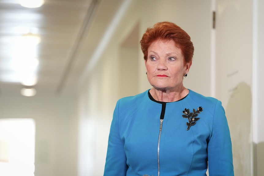 Pauline Hanson looks to the side seriously.