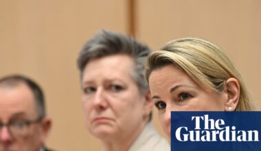 ANU scandals during Julie Bishop’s tenure caused $100m in reputational damage, university estimates | Australian universities