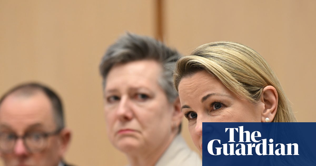 ANU scandals during Julie Bishop’s tenure caused $100m in reputational damage, university estimates | Australian universities