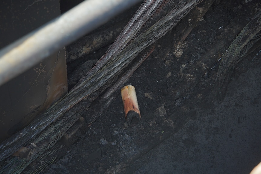 Attempted copper theft caused fire