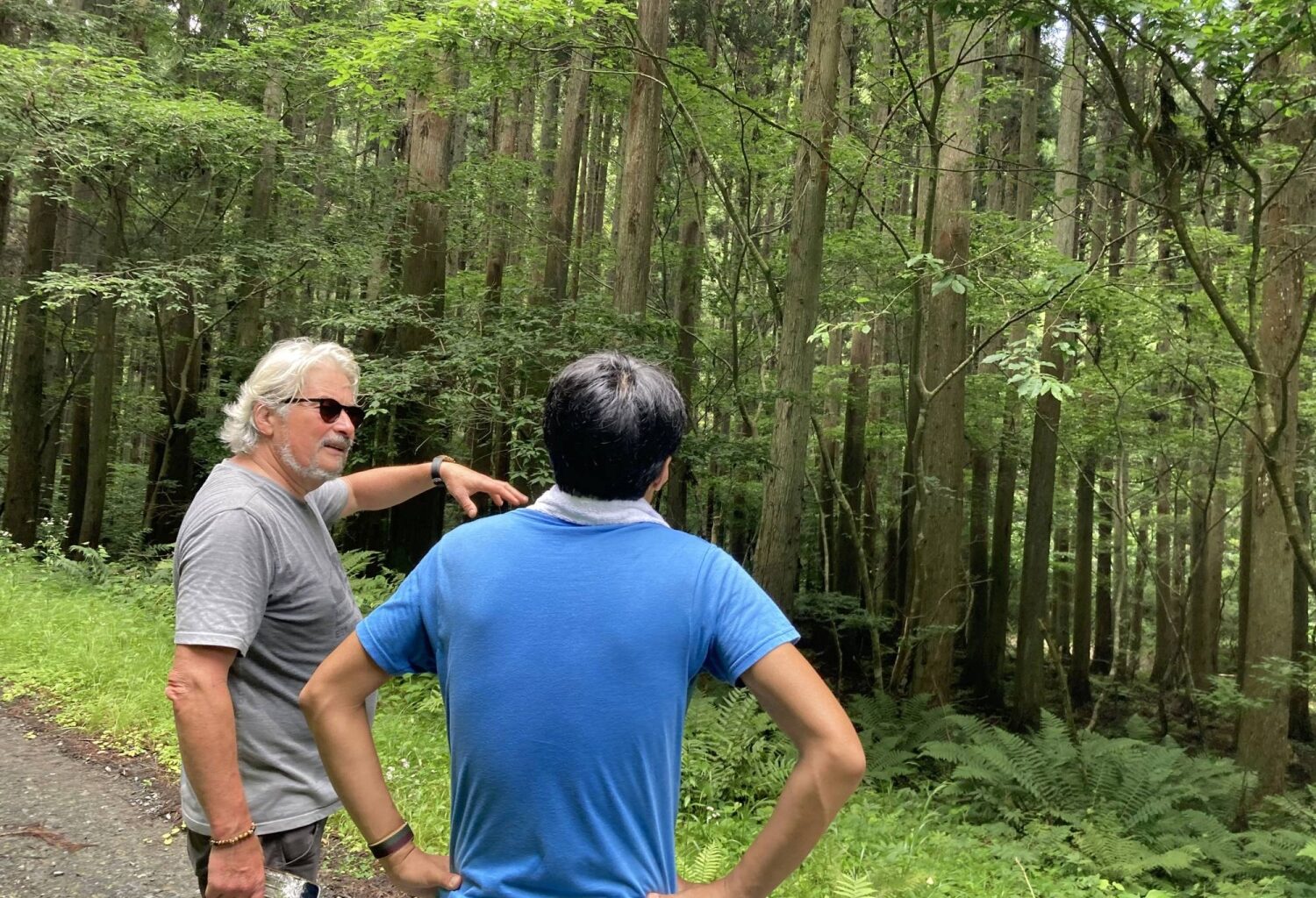 How carbon finance could give a boost to Japan’s ailing forestry industry