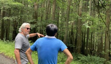 How carbon finance could give a boost to Japan’s ailing forestry industry