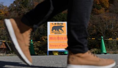 Schools in Tokyo suburb to get bear sprays