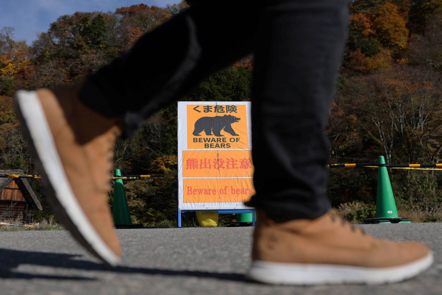 Schools in Tokyo suburb to get bear sprays