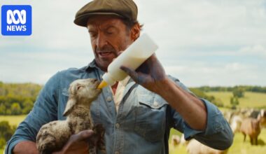 From talking sheep to incel horror, here are the best movies of 2026 so far