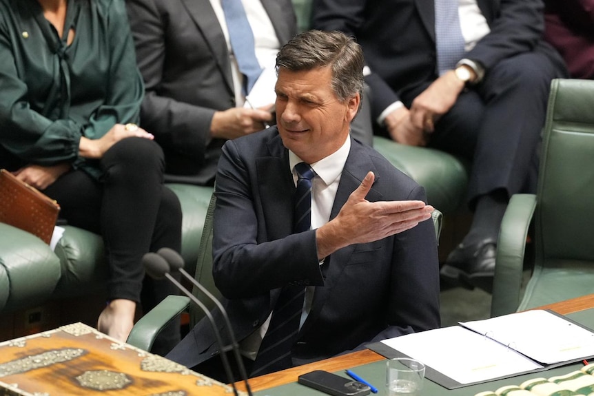Angus Taylor at Question Time