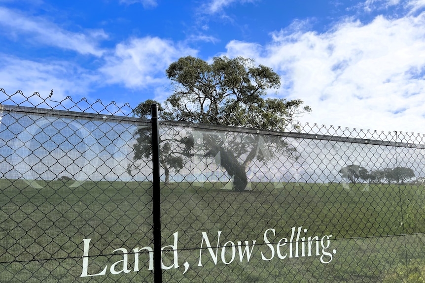 A paddock with a single tree behind fencing wrapped in signage advertising a coming development