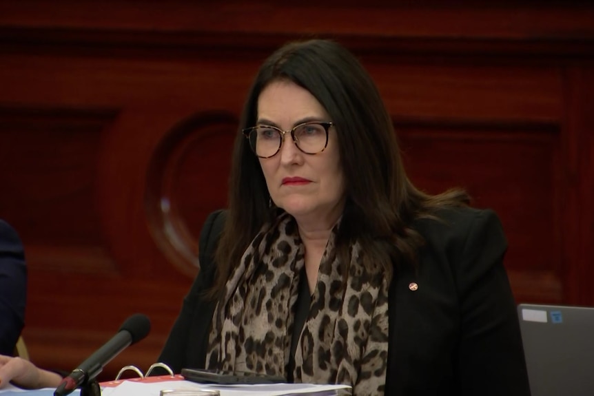 Woman with red lipstick, brown glasses, leopard scarf and dark hair sits on committee with stern facial expression