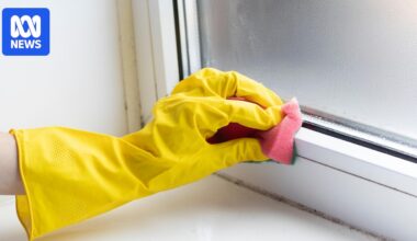 Five ways to prevent mould in your home and the best ways to clean it