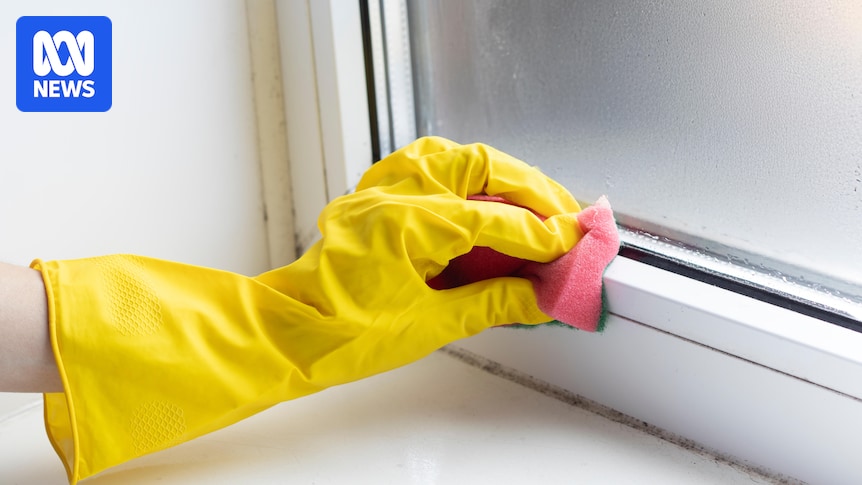 Five ways to prevent mould in your home and the best ways to clean it