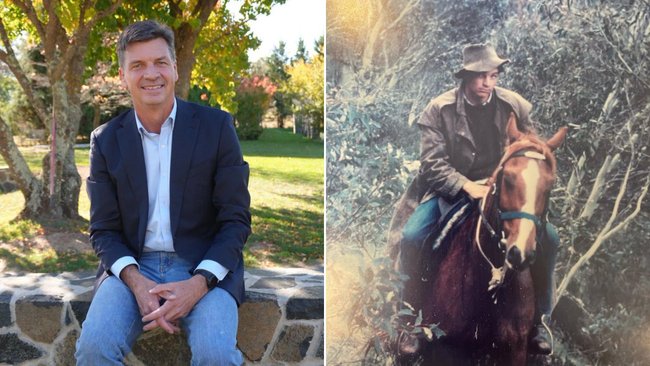 Opposition Leader Angus Taylor is against the cull of the horses.