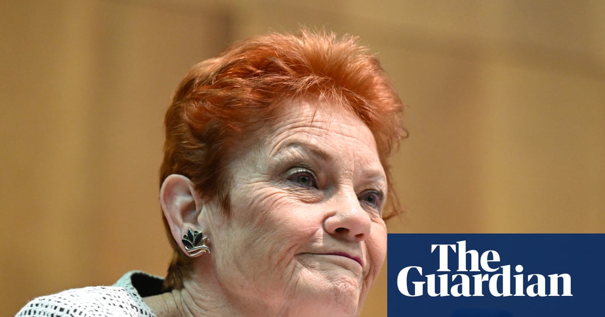 One Nation’s health policies based on misconceptions and may cost the taxpayer, experts warn | One Nation