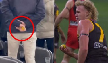 AFL fan cops five-year ban for throwing lemon at West Coast star Reuben Ginbey