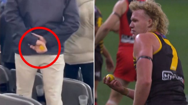 An AFL fan has copped a five-year ban for throwing a lemon. 
