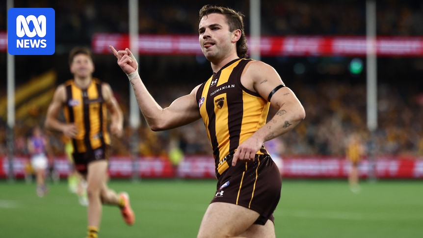 AFL Round 13 live updates: Hawthorn vs Western Bulldogs — blog, scores and stats